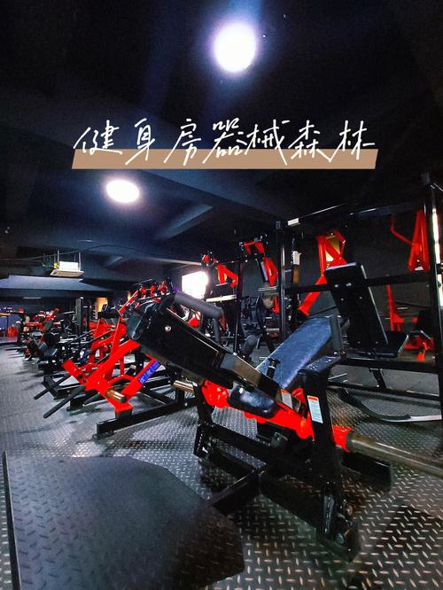 健身房器械森林活力健身工厂
